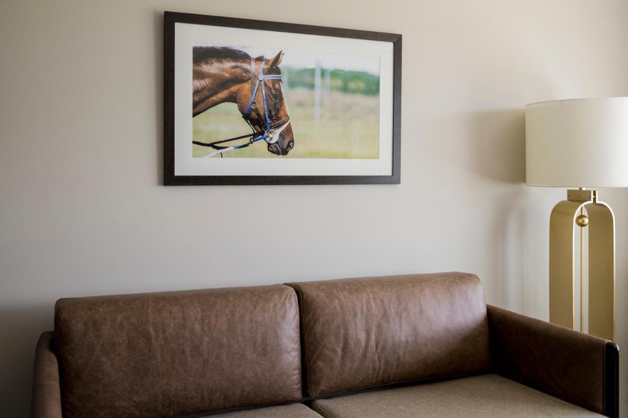 The William Inglis Mgallery Warwick Farm Extérieur photo A framed photograph of a horse
